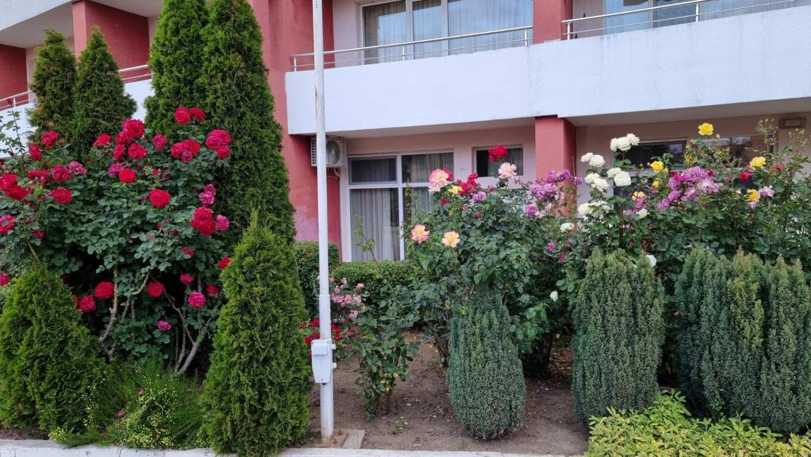 Luxurious Studios Nani Kranevo Exterior foto