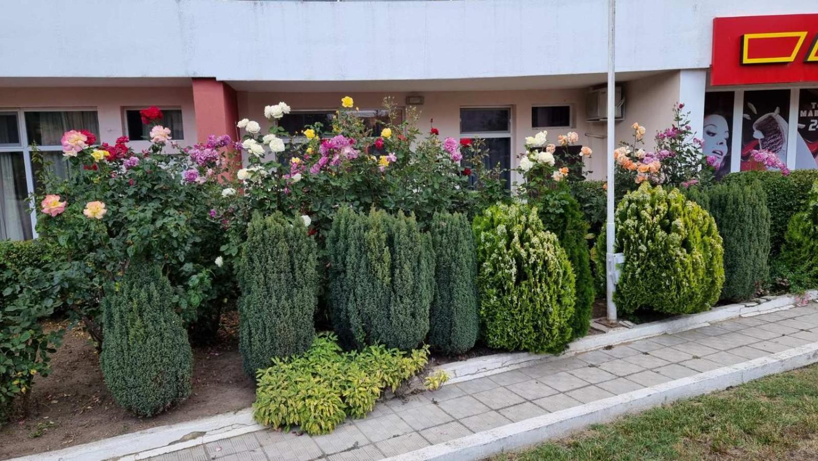 Luxurious Studios Nani Kranevo Exterior foto
